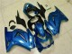 Kawasaki EX250 2008-2012 - Blau Schwarz Weiß Ninja