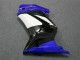 Kawasaki EX250 2008-2012 - Blau Weiß Schwarz Ninja Kawasaki EX250 2008-2012 - Blau Weiß Schwarz Ninja