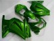 Kawasaki EX250 2008-2012 - Grün Ninja Kawasaki EX250 2008-2012 - Grün Ninja