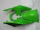Kawasaki EX250 2008-2012 - Grün Schwarzer Ninja Kawasaki EX250 2008-2012 - Grün Schwarzer Ninja