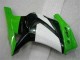 Kawasaki EX250 2008-2012 - Grün Schwarzer Ninja Kawasaki EX250 2008-2012 - Grün Schwarzer Ninja