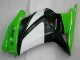 Kawasaki EX250 2008-2012 - Grün Schwarzer Ninja Kawasaki EX250 2008-2012 - Grün Schwarzer Ninja