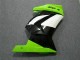 Kawasaki EX250 2008-2012 - Grün Schwarzer Ninja Kawasaki EX250 2008-2012 - Grün Schwarzer Ninja