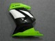 Kawasaki EX250 2008-2012 - Grün Schwarzer Ninja Kawasaki EX250 2008-2012 - Grün Schwarzer Ninja