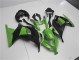 Kawasaki EX300 2013-2016 - Grün Schwarz Kawasaki EX300 2013-2016 - Grün Schwarz