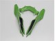 Kawasaki EX300 2013-2016 - Grün Schwarz Kawasaki EX300 2013-2016 - Grün Schwarz