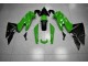 Kawasaki EX650 2009-2011 - Grün Schwarz Kawasaki EX650 2009-2011 - Grün Schwarz