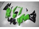 Kawasaki EX650 2009-2011 - Grün Schwarz Kawasaki EX650 2009-2011 - Grün Schwarz