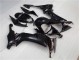Kawasaki ZX10R 2008-2010 - Glänzend Schwarz Kawasaki ZX10R 2008-2010 - Glänzend Schwarz