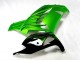 Kawasaki ZX14R ZZR 1400 2012-2021 - Grün Schwarz