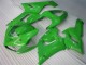 Kawasaki ZX6R 2005-2006 - Grün Kawasaki ZX6R 2005-2006 - Grün