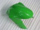 Kawasaki ZX6R 2005-2006 - Grün Kawasaki ZX6R 2005-2006 - Grün