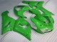 Kawasaki ZX6R 2005-2006 - Grün Kawasaki ZX6R 2005-2006 - Grün