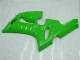 Kawasaki ZX6R 2005-2006 - Grün Kawasaki ZX6R 2005-2006 - Grün