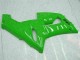 Kawasaki ZX6R 2005-2006 - Grün Kawasaki ZX6R 2005-2006 - Grün