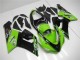 Kawasaki ZX6R 2005-2006 - Grün Kawasaki ZX6R 2005-2006 - Grün