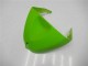 Kawasaki ZX6R 2005-2006 - Grün Kawasaki ZX6R 2005-2006 - Grün