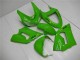 Kawasaki ZX6R 2005-2006 - Grün Kawasaki ZX6R 2005-2006 - Grün