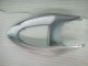 Kawasaki ZX6R 2005-2006 - Silber Schwarz Kawasaki ZX6R 2005-2006 - Silber Schwarz