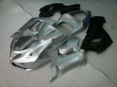 Kawasaki ZX6R 2005-2006 - Silber Schwarz