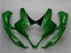 Suzuki GSXR 1000 K5 2005-2006 - Grün Suzuki GSXR 1000 K5 2005-2006 - Grün