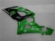 Suzuki GSXR 1000 K5 2005-2006 - Grün Suzuki GSXR 1000 K5 2005-2006 - Grün